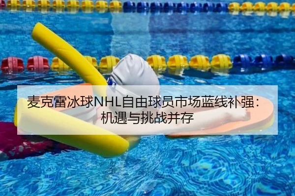 麦克雷冰球NHL自由球员市场蓝线补强：机遇与挑战并存