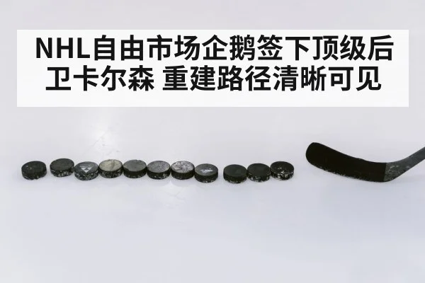 NHL自由市场企鹅签下顶级后卫卡尔森 重建路径清晰可见